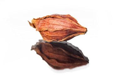 《战争机器6》将展示顶级视觉效果 充分发挥当前主机性能